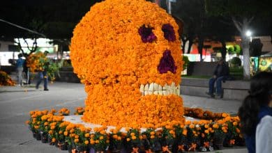 xantolo en tu ciudad soledad